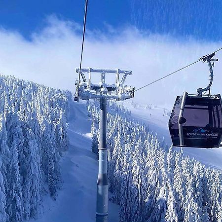 קופאוניק Apartments Foka & Spa - 600M From Gondola Ski Lift מראה חיצוני תמונה