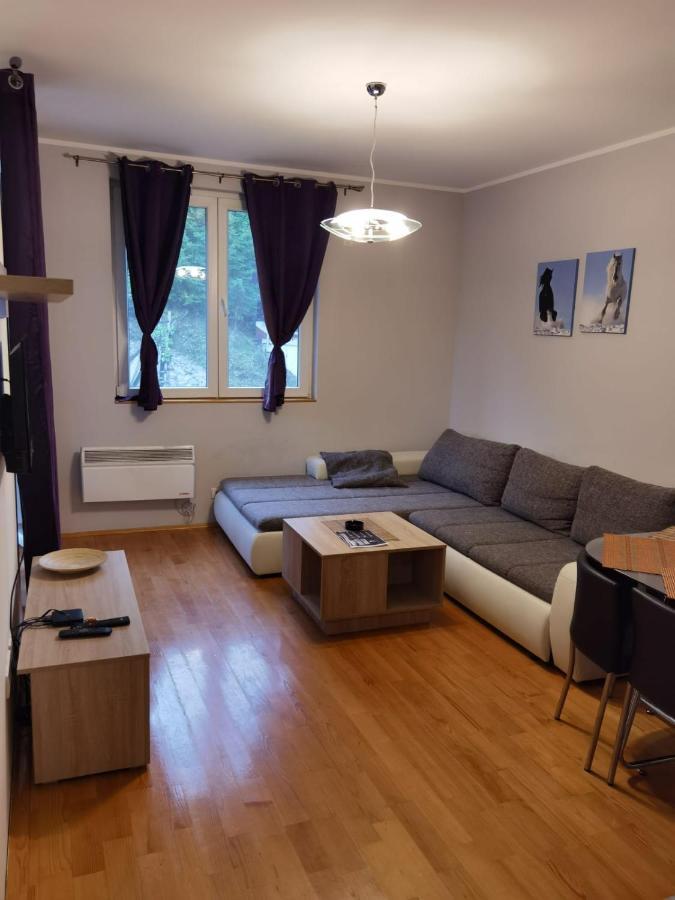קופאוניק Apartments Foka & Spa - 600M From Gondola Ski Lift מראה חיצוני תמונה
