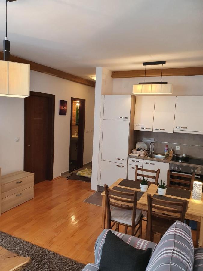 קופאוניק Apartments Foka & Spa - 600M From Gondola Ski Lift מראה חיצוני תמונה